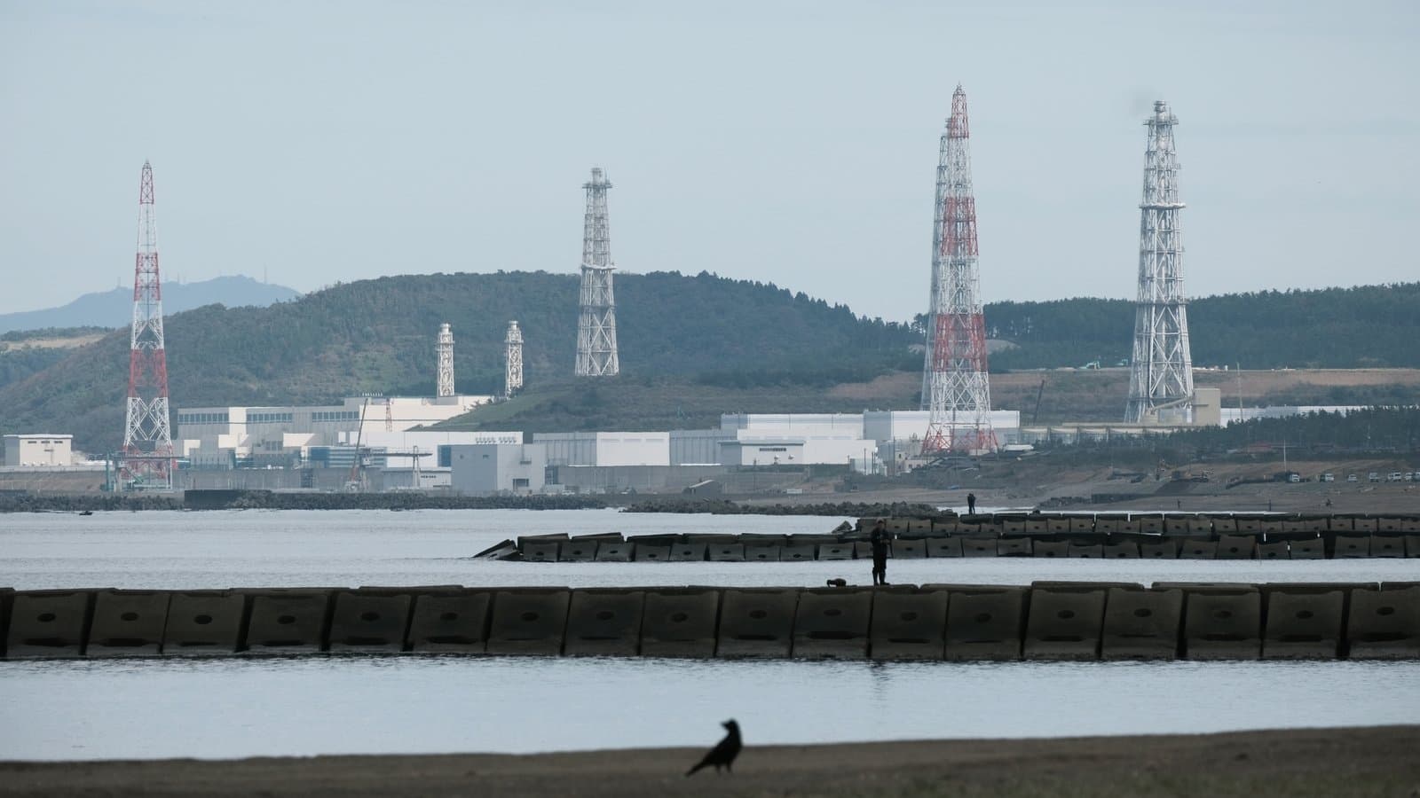Japan Restarts World's Largest Nuclear Plant Despite Protests